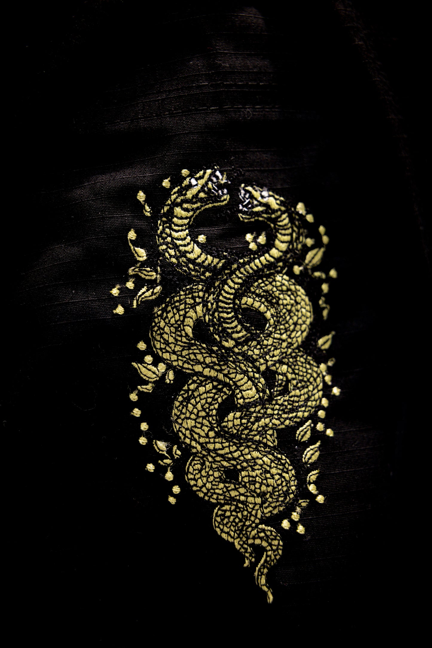 Medusa Gi